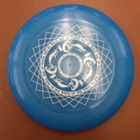 Gould library frisbee